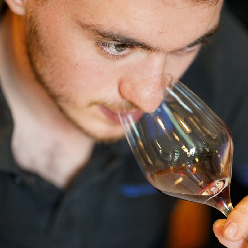 Professionnalisez votre connaissance du vin et de la dégustation | formation éligible CPF
