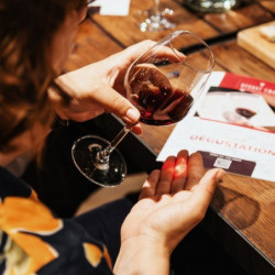 Bourgogne vs Bordeaux : découvrez les deux vignobles les plus réputés