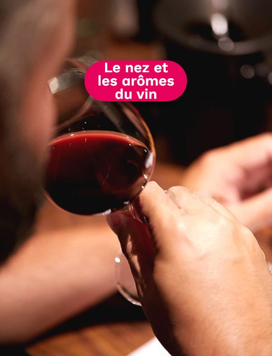 cours œnologie Aix en Provence nez et arômes du vin 