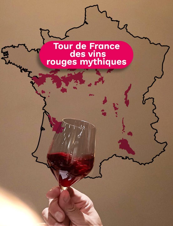 cours œnologie Aix en Provence Tour de France des vins rouges mythiques