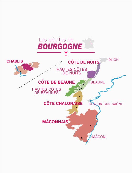 cours œnologie à Dijon : Les pépites de Bourgogne