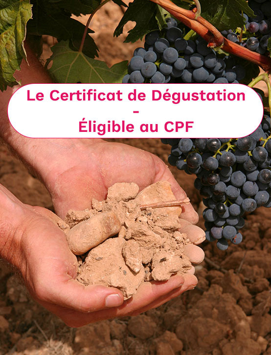 CERTIFICAT DE DÉGUSTATION GÉO-SENSORIELLE ET INTUITIVE