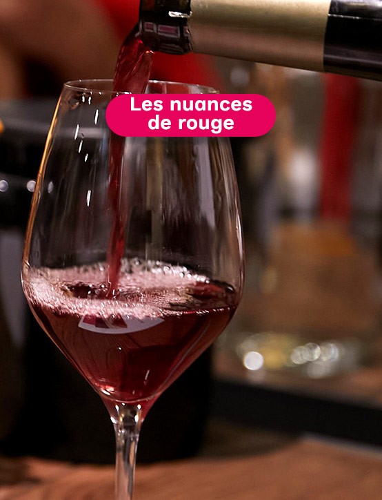 cours oenologie Paris découverte des grands vins rouges de France 
