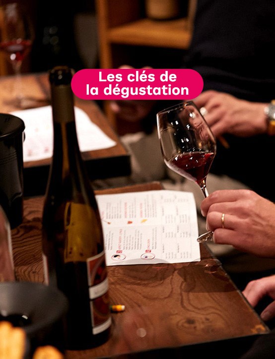 cours oenologie Nantes clés de la dégustation