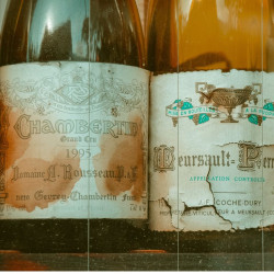 Dégustez des vins de légende !