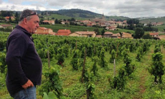 dégustation de vins et cours œnologiques: Domaine de la Grand' Cour