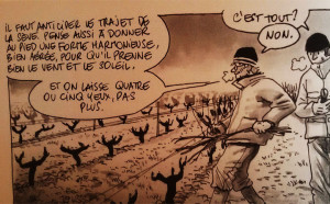 Dégustation de vin et cours d’œnologie : la taille de la vigne