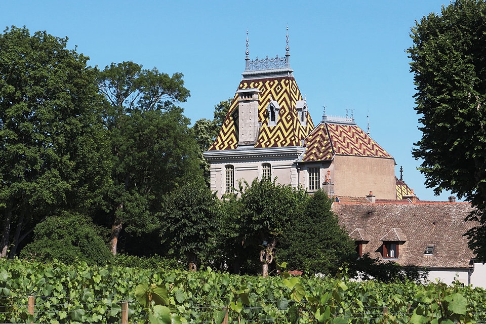 Domaine Aloxe Corton à proximité de Beaune