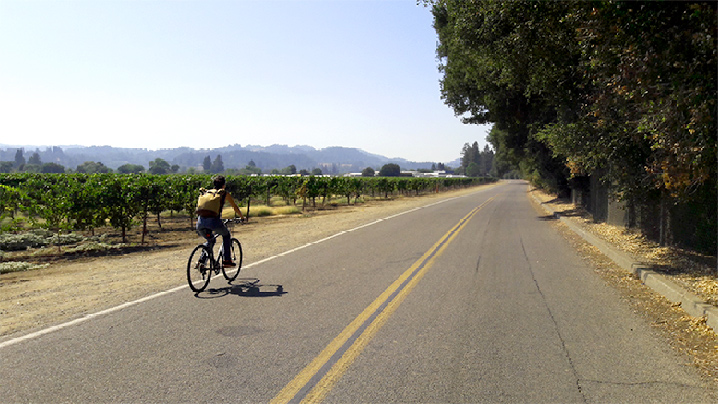 dame se baladant en vélo sur une route près des vignes