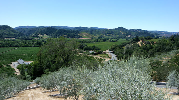 vignobles-côte-ouest-USA