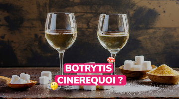 pourquoi-certains-vins-sont-plus-sucrés-que-d-autres