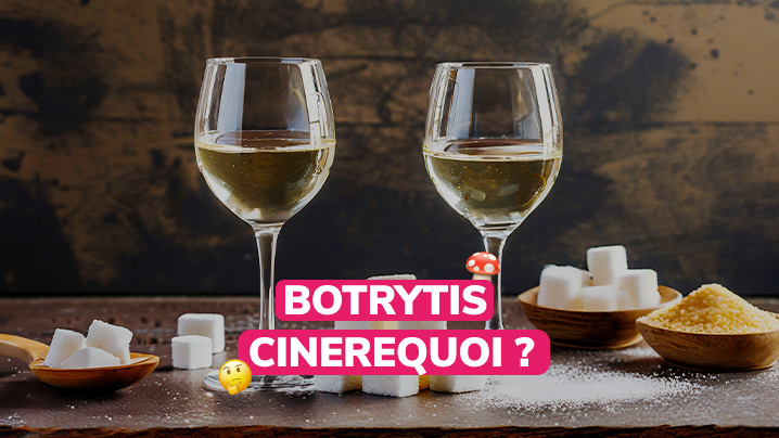 pourquoi-certains-vins-sont-plus-sucrés-que-d-autres