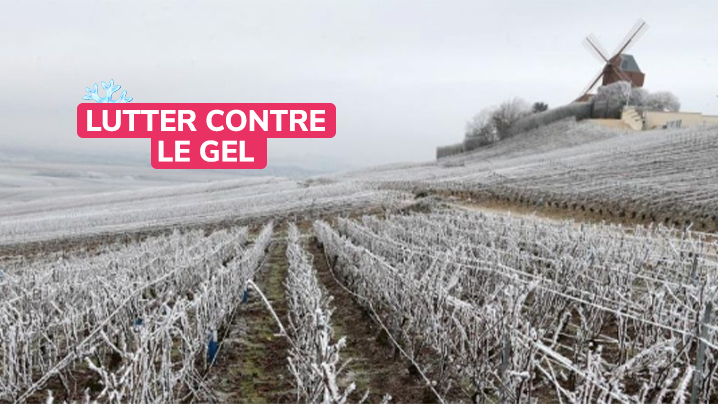 lutter contre le gel