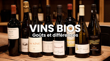 VINS-BIOS-goûts-et-différence