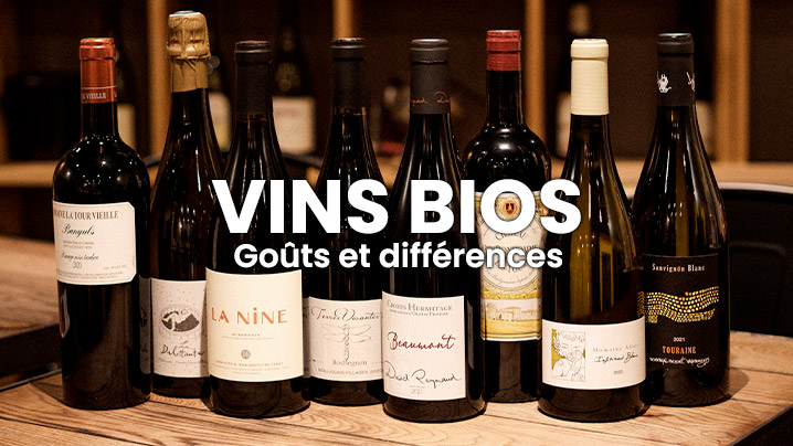 VINS-BIOS-goûts-et-différence