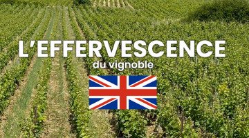 l'effervescence-du-vignoble-anglais