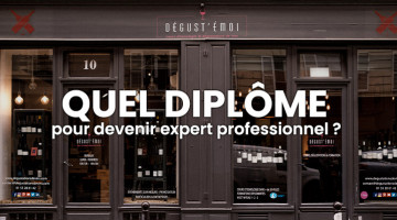 QUEL-DIPLÔME-POUR-DEVENIR-EXPERT-