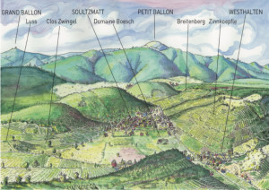 Les vins d'Alsace