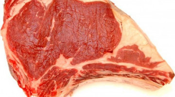 67343_339016266209909_700646546_n-600x505