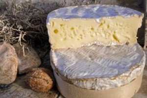 547918_359815650796637_1678720498_n-300x259