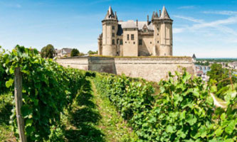 degustation de vin set cours œnologique : Vallée de la Loire