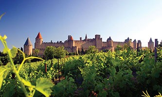 cours doenologie et degustation de vin AOC Vins du Languedoc vignette