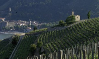 Les coteaux de l'Hermitage