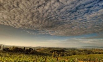 Millésime 2016, interview croisée