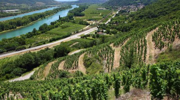 Cotes du Rhone Septentrionales
