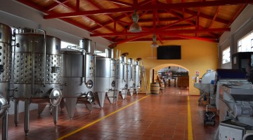 Arômes secondaires du vin : La fermentation