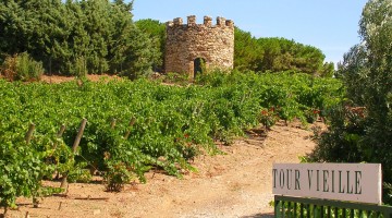 Domaine La Tour Vieille
