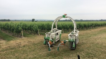 robotisation des vignes