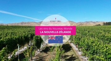 Les vins de Nouvelle-Zélande