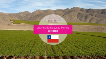 vins du Chili