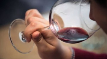 mémoire olfactive : comment la travailler