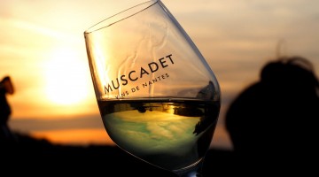 muscadet