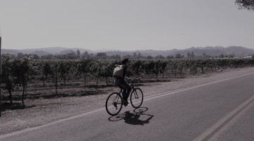 oenotourisme : comment repart la filière.