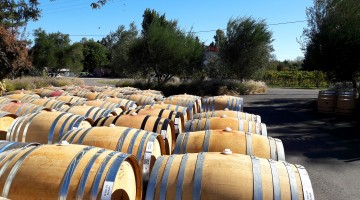 barriques outils d’élevage des vins