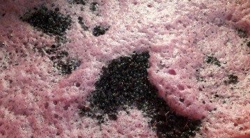 la fermentation malolactique