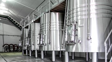 Élever son vin sans bois : pourquoi ?