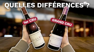 1er cru vs grand cru : quelles différences ?