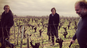 A la découverte du Domaine Pépière en Muscadet