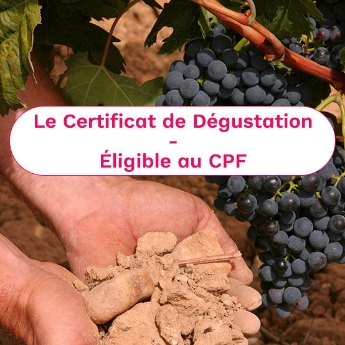 Formation certifiante Certificat de Dégustation