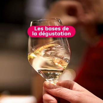 Cours d'oenologie les bases de la dégustation